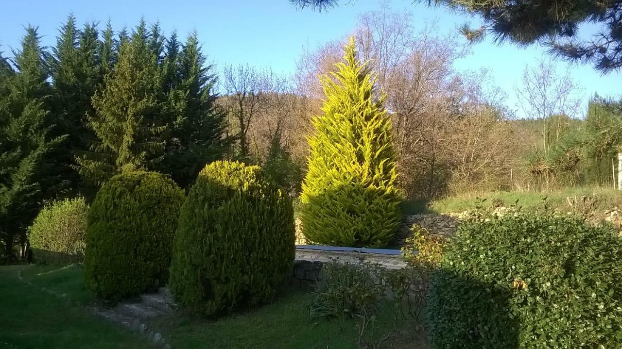 Canigou Lodge Vernet-les-Bains Eksteriør billede