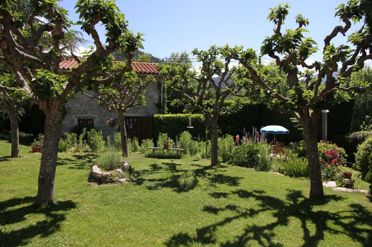 Canigou Lodge Vernet-les-Bains Eksteriør billede