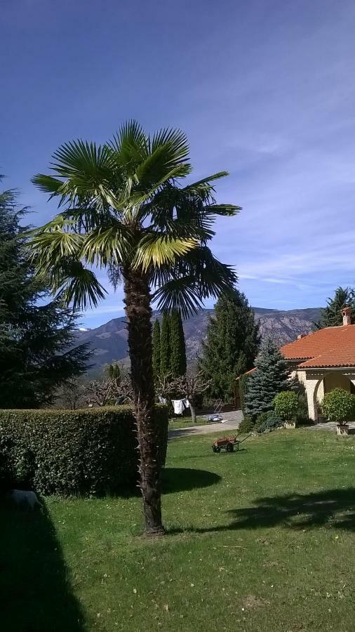 Canigou Lodge Vernet-les-Bains Eksteriør billede