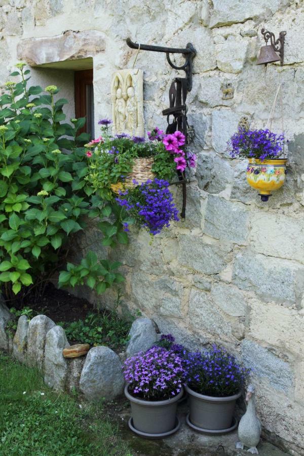 Canigou Lodge Vernet-les-Bains Eksteriør billede