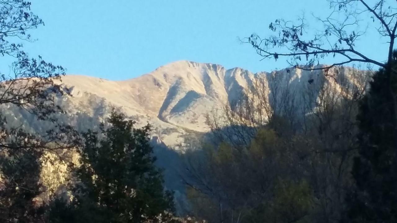 Canigou Lodge Vernet-les-Bains Eksteriør billede
